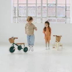 Banwood Trike - Green