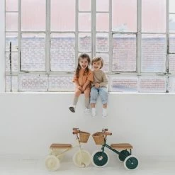 Banwood Trike - Green