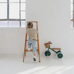 Banwood Trike - Green