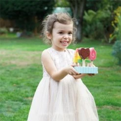 Le Toy Van Ice Lollies & Popsicles