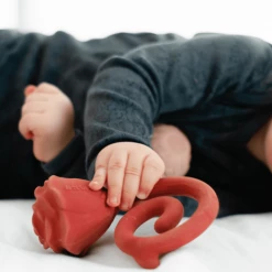 Natruba Teether - Rose