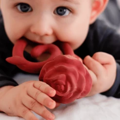 Natruba Teether - Rose