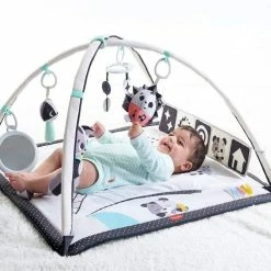 Baby Price Tiny Love Black And White Gymini